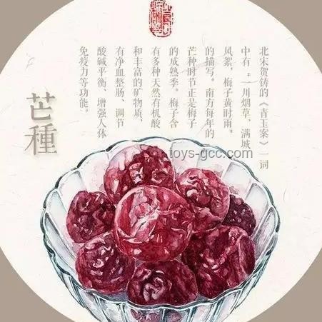 芒种吃什么，传统美食与养生之道